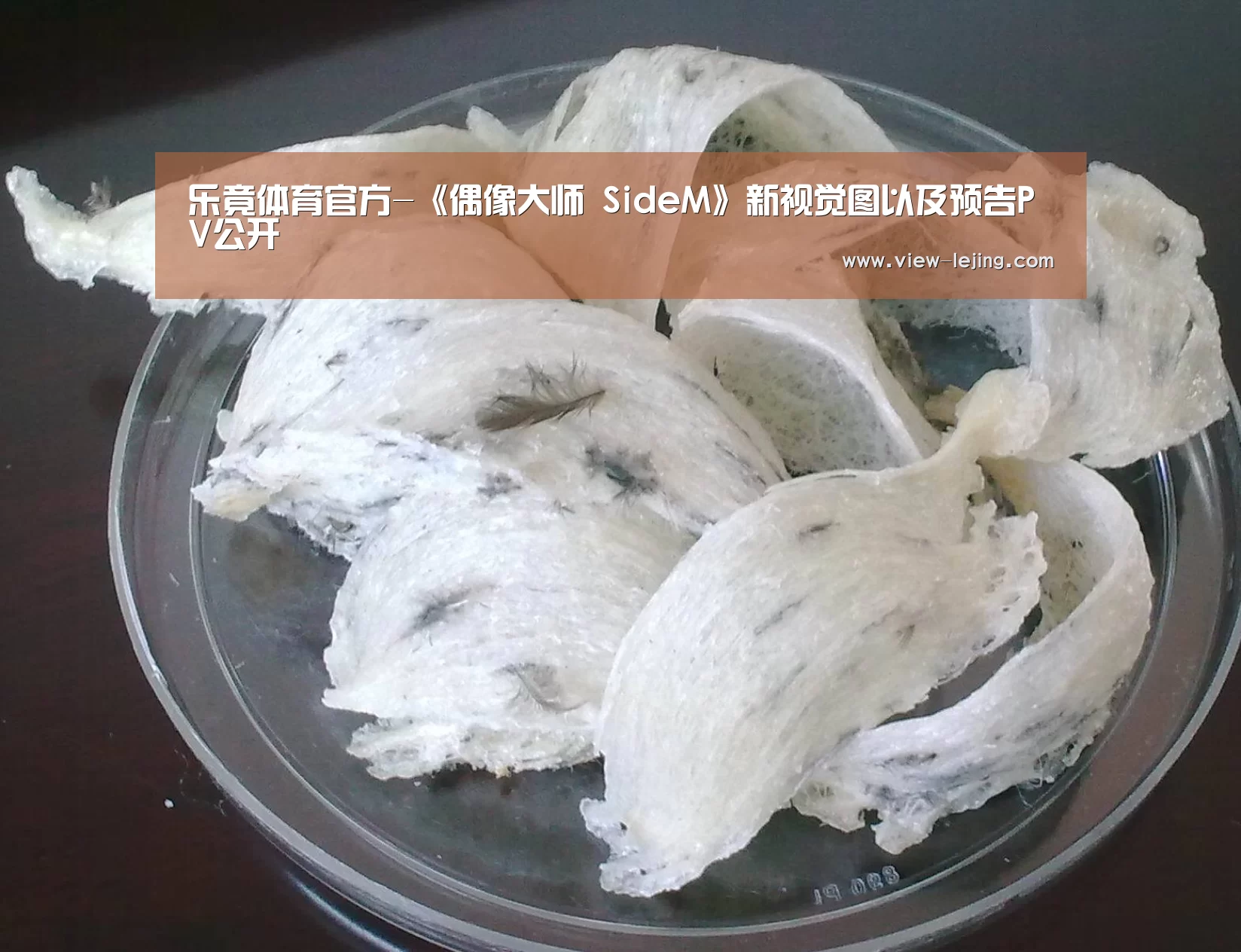 乐竟体育app