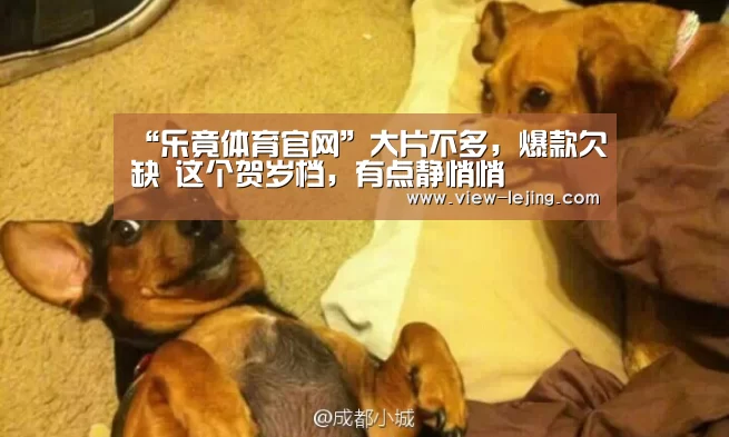 “乐竟体育官网”大片不多，爆款欠缺 这个贺岁档，有点静悄悄