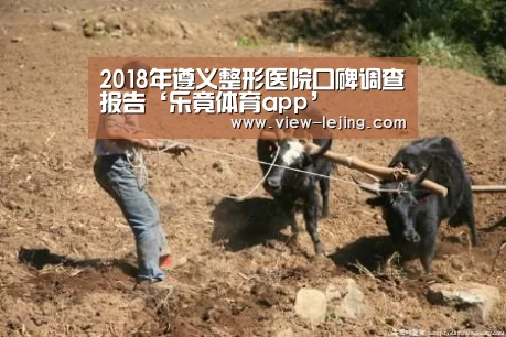 2018年遵义整形医院口碑调查报告‘乐竟体育app’