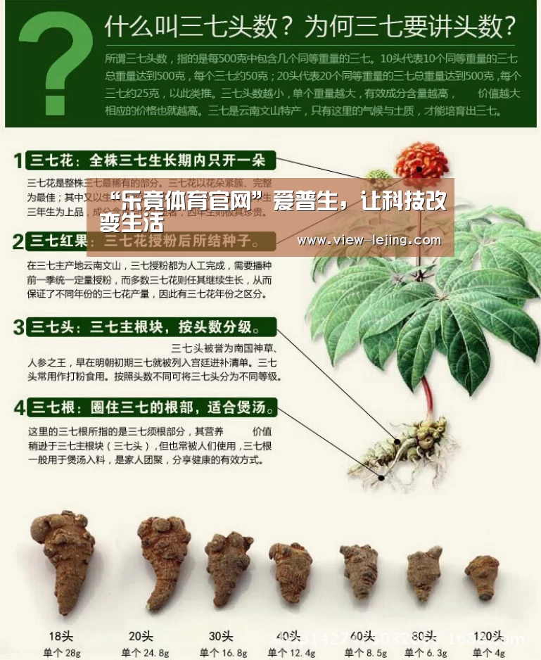 乐竟体育